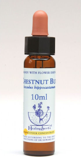 Healing Herbs Chestnut Bud Антоесенция в Капки 10мл