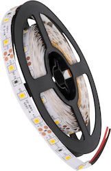 GloboStar Ταινία LED Avila 12V GloboStar Ταινία LED Avila 12V