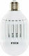 N'Oveen LED IKN804