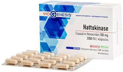 Viogenesis Nattokinase 2000FU 60 caps