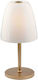 Fan Europe Ares Glass Table Lamp for E14 Socket with White Shade and Gold Base