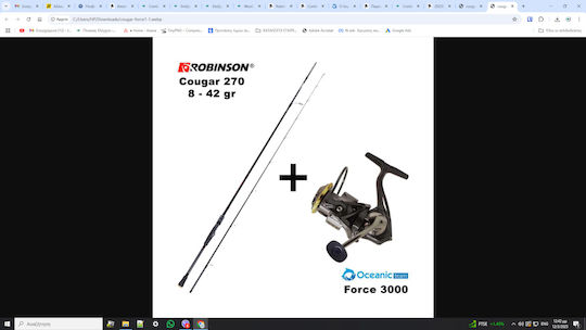 Robinson Cougar Zander Jig 270 Риболовен прът за Спининг 2.7м с механизъм 8-42гр