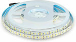 V-TAC LED Strip Power Supply 12V with Natural White Light Length 5m and 120 LEDs per Meter SMD5730