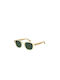 Havaianas Salvador Sunglasses with HAMQT Plastic Frame