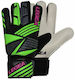 Legea Adults Goalkeeper Gloves Green