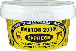 Express 20009 Ξυλόκολλα Διάφανη 500gr