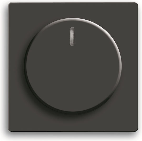 Abb Future Dimmer-Schalterplatte in Schwarz Farbe 46031