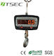 Professional Hanging Scale with Weighing Capacity of 1000kg and Division 1000gr