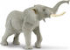 Safari Ltd African Elephant για 3+ Ετών 24εκ.