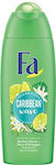 Fa Caribbean Wave Shower Cream 250ml