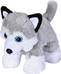 Wild Republic Plush Dog Husky 18 cm