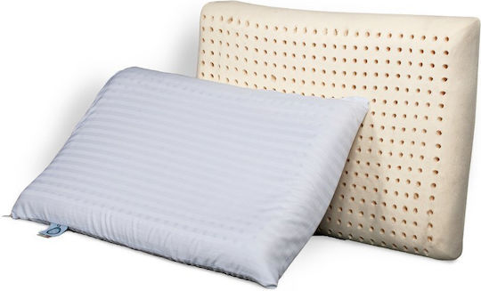 SB Home Latex 40x70x12cm Kopfkissen SB Home Latex 40x70x12cm Kopfkissen