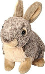 Wild Republic Plush Bunny for 3+ Years 20 cm