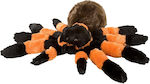 Wild Republic Plush Tarantula 30 cm