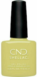 CND Shellac Ημιμόνιμο Βερνίκι Νυχιών Mind Over ...