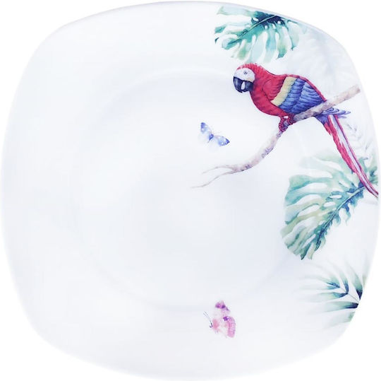 Artekko Parrot Plate Shallow Square made of Porcelain White 27x27cm