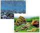 Amtra Wave Double Vision Aquarium Decoration Poster