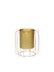 Keskor Planter Metal Gold with Stand 25x25x26cm.