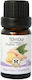 Herbstore Αιθέριο Έλαιο Ginger Βρώσιμο 50ml