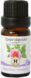 Herbstore Essential Oil Rose 100ml