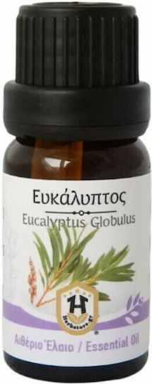 Herbstore Αιθέριο Έλαιο Ευκάλυπτος Βρώσιμο 50ml