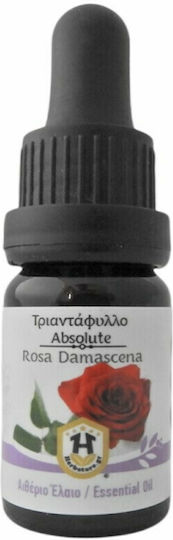Herbstore Absolute Αιθέριο Έλαιο Τριαντάφυλλο Βρώσιμο με Σταγονόμετρο 5ml