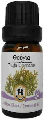 Herbstore Θούγια Ätherisches Öl Thuja 50ml