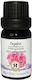Herbstore Organic Geranium Essential Oil 50ml