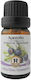 Herbstore Ätherisches Öl Wild Wacholder Zypresse Essenziell 50ml