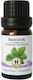 Herbstore Ätherisches Öl Basilikum Essenziell Bio mit Tropfer 100ml
