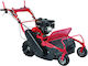 Blue Bird FM600 Selbstfahrend Rasenmäher Benzin 7hp
