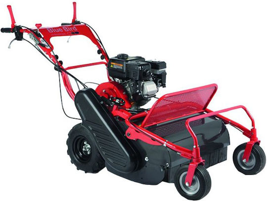 Blue Bird FM600 Selbstfahrend Rasenmäher Benzin 7hp