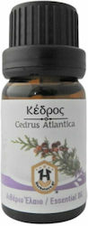 Herbstore Κέδρος Αιθέριο Έλαιο 50ml