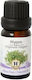 Herbstore Edible Oregano Essential Oil 500ml