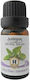 Herbstore Ätherisches Öl Pfefferminz Essbar 50ml