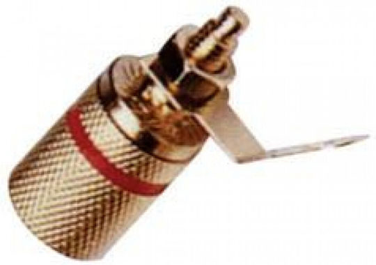 LZ544G/R Borna 5pcs 57510-205