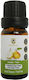 Herbstore Drops mit Aroma Birne 100ml