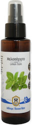 Herbstore Ανθόνερο Μελισσόχορτο Herbstore Ανθόνερο Μελισσόχορτο