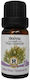 Herbstore Θούγια Essential Oil Thuja 5ml