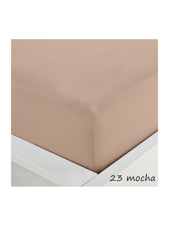 Sunshine Sheet for Single Bed with Elastic 100x...