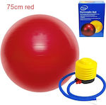 King Lion Pilates Ball 75cm Red