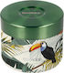 Quokka Inox Thermo Lunch Box Tropical Green 360ml