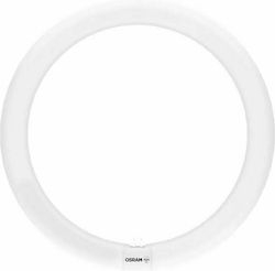Osram LED 20W G10Q Ψυχρό Λευκό Osram LED 20W G10Q Ψυχρό Λευκό