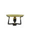 InTheBox Jesira Platou Decorativ Polirosină Gold/Black 1buc 28x14x17.5buc