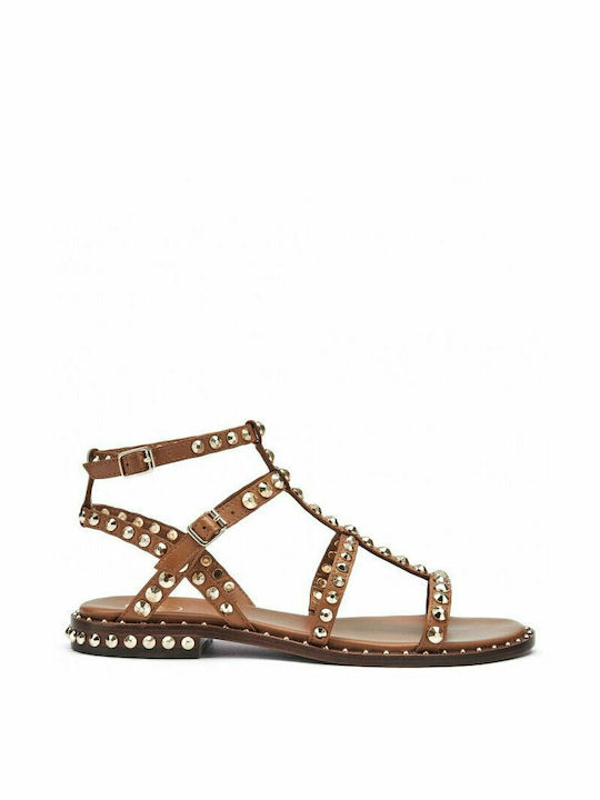 Ash Leder Damen Flache Sandalen New Cinnamon