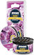 Areon Car Air Freshener Can Console/Dashboard Ken Blister Lilac 35gr