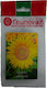 Geoponiki Infinity Seeds Sunflower 100pcs Yellow