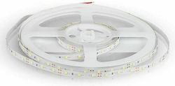 V-TAC Bandă LED Alimentare 12V cu Lumină Alb Natural Lungime 5m și 60 LED-uri pe Metru SMD3528