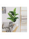 Autocolant Decorativ Perete Banana Leaf 12buc RoomMates Decor