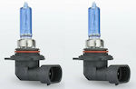 Phonocar Lamps Car HIR2-9012 Halogen 4200K Natural White 12V 55W 2pcs